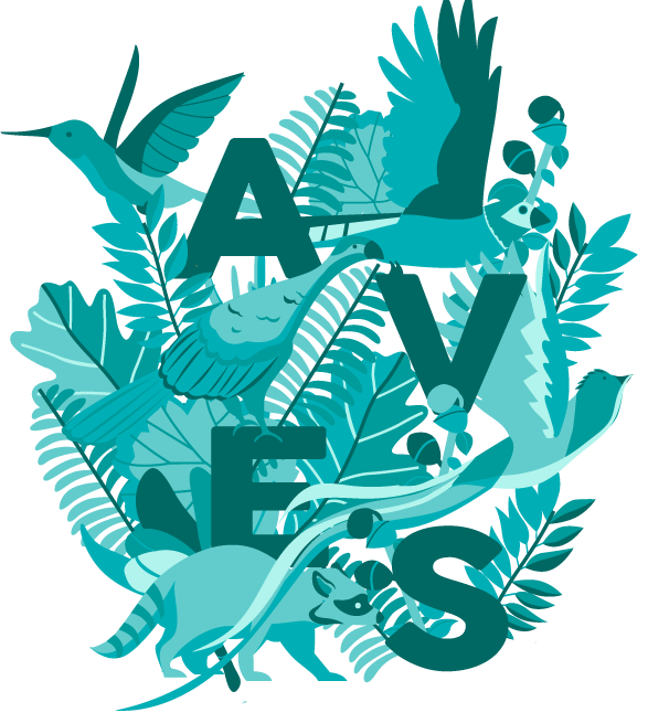 ilustración de la palabra aves entre plantas y otras ilustraciones de aves típicas de la zona de los Santos