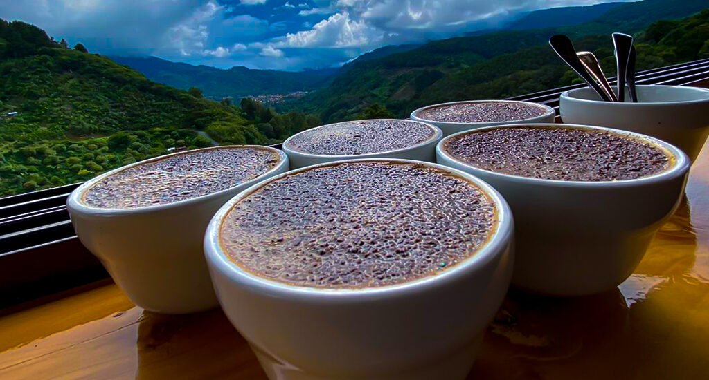 Imagen tazas de café Monte Copey