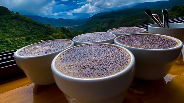 Imagen tazas de café Monte Copey