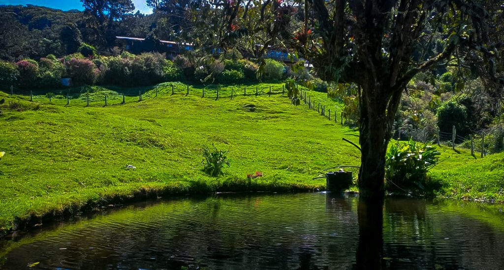 Imagen Vueltas Cerro Laguna