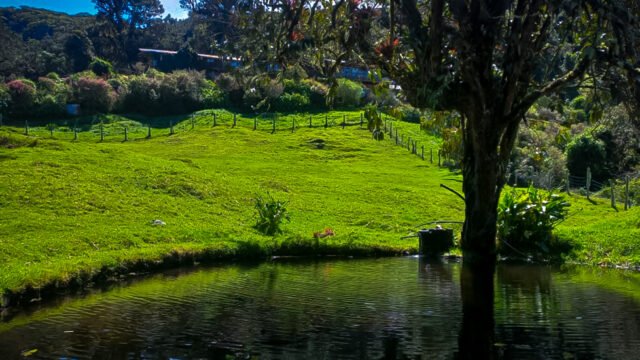 Imagen Vueltas Cerro Laguna